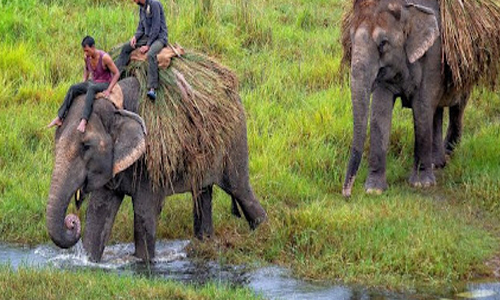 Chitwan Tour